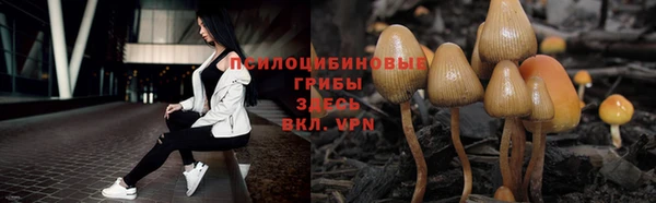 амф Нея