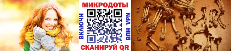 Галлюциногенные грибы GOLDEN TEACHER  Пионерский 